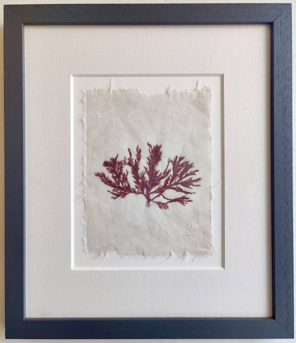 - on , Print by Richard Farrant, measuring 19 x 15 cm (H x W) framed at 35 x 30 cm £75